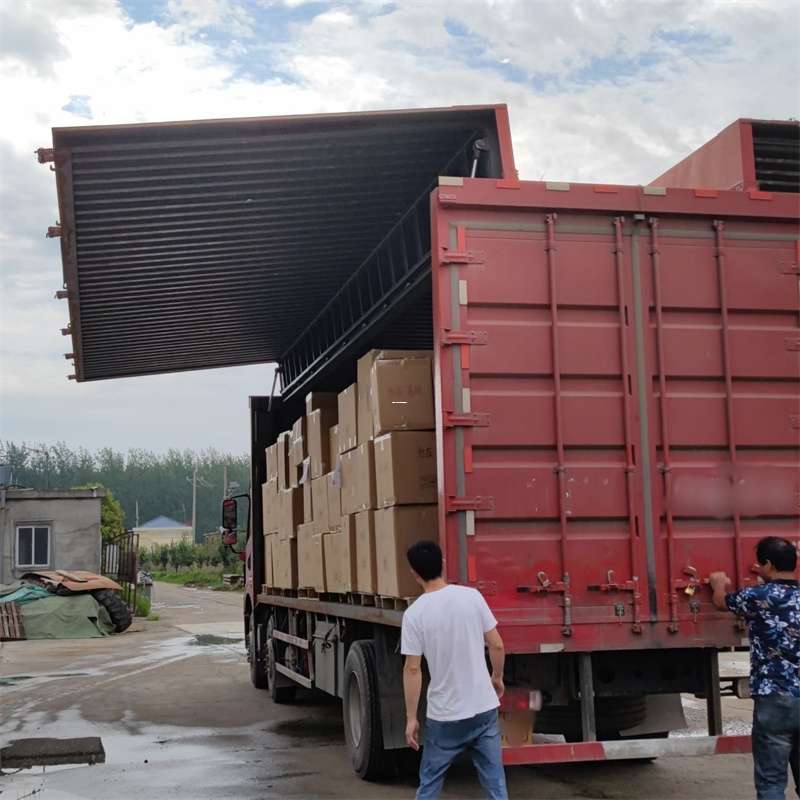 精河县扎囊县：物流专线的高效货运之旅